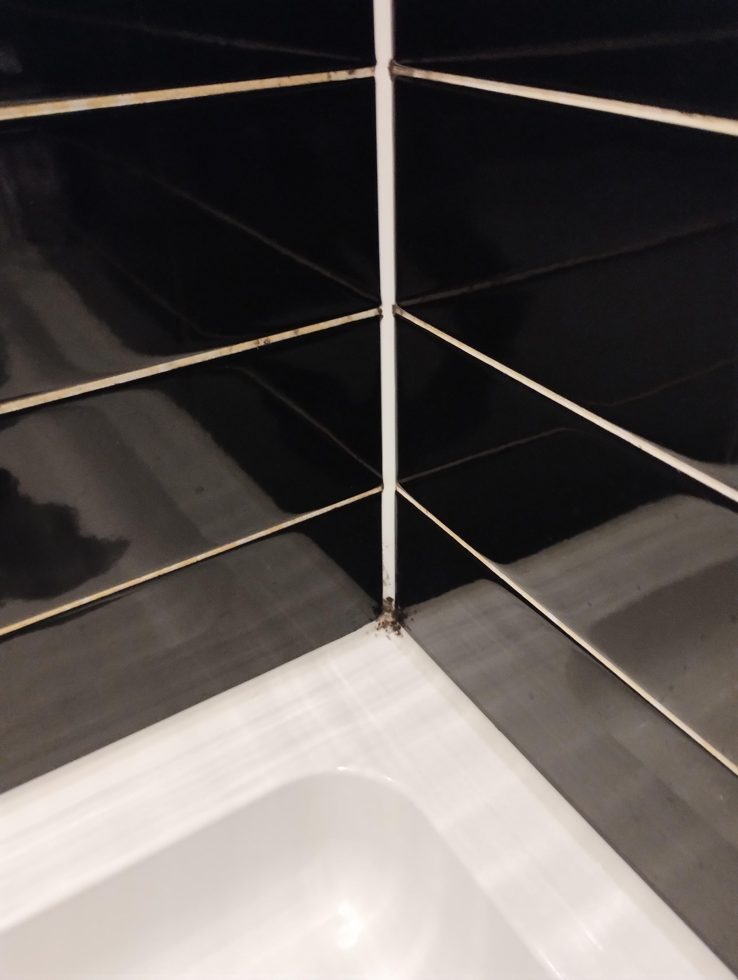 Schimmel in der Dusche 