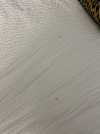 Dirty/stained linens