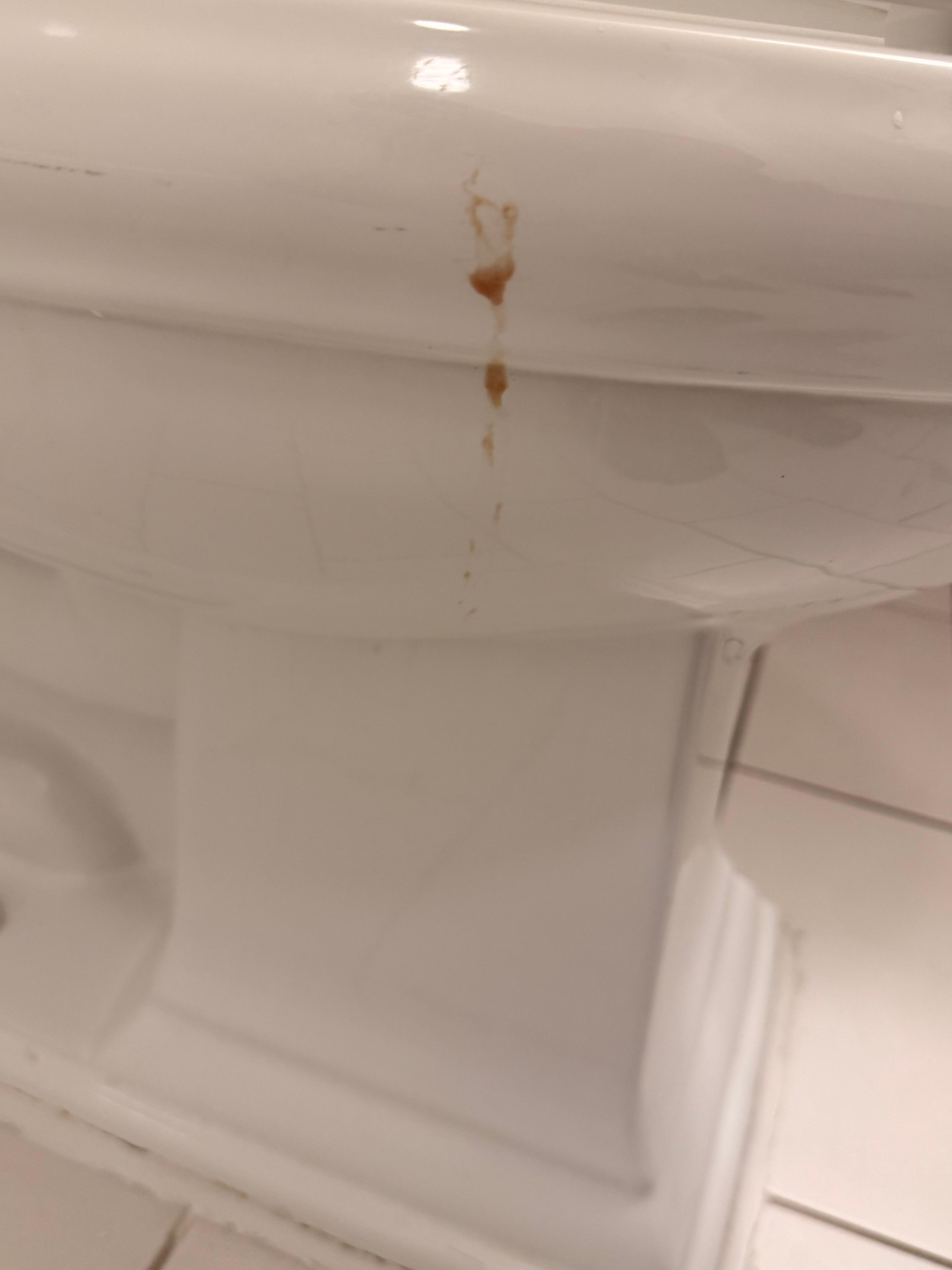 The bathroom toilet was disgusting 