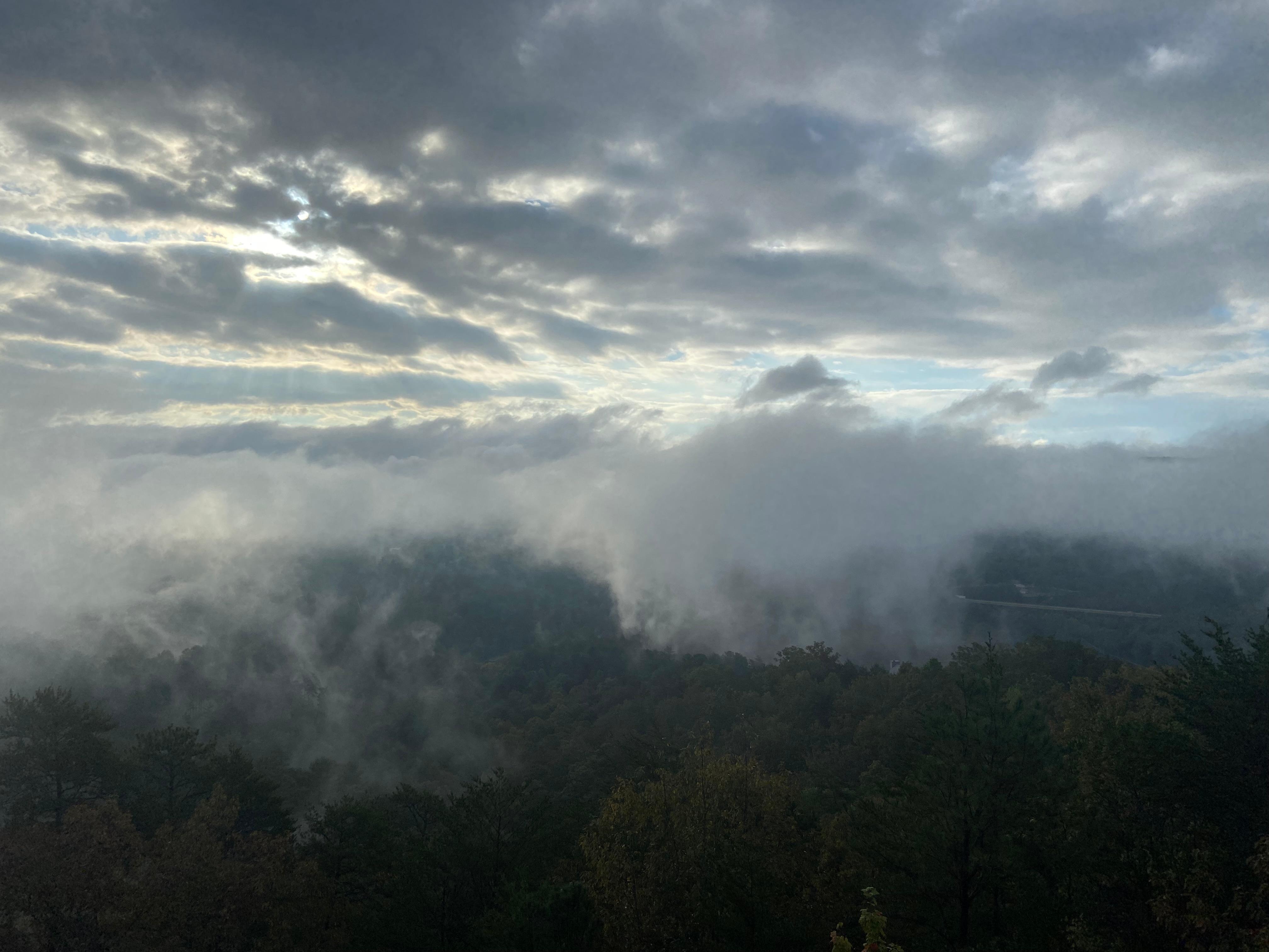 Back deck morning fog