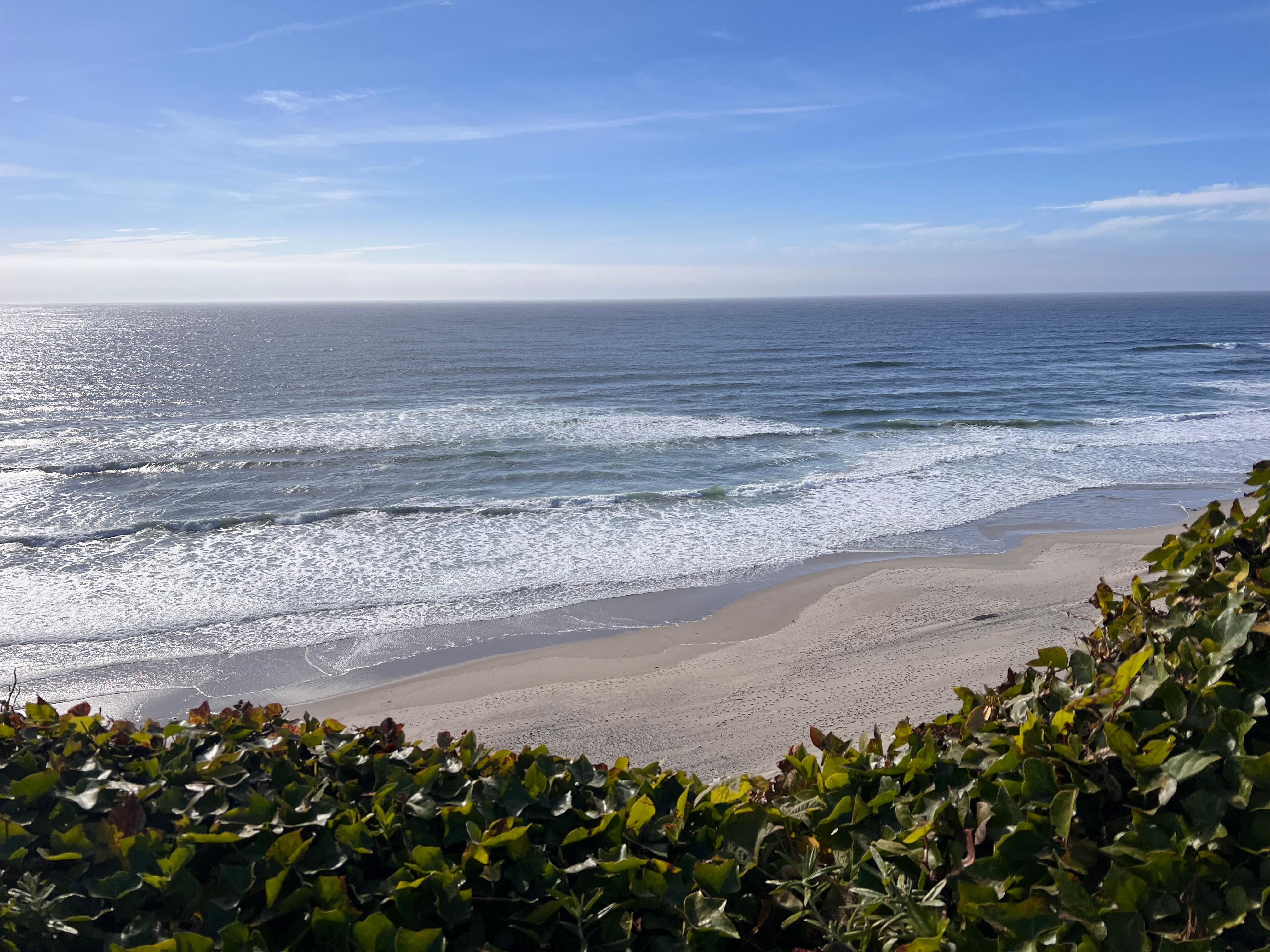 View from front of the house 