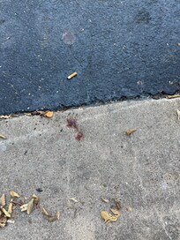 Yet more blood