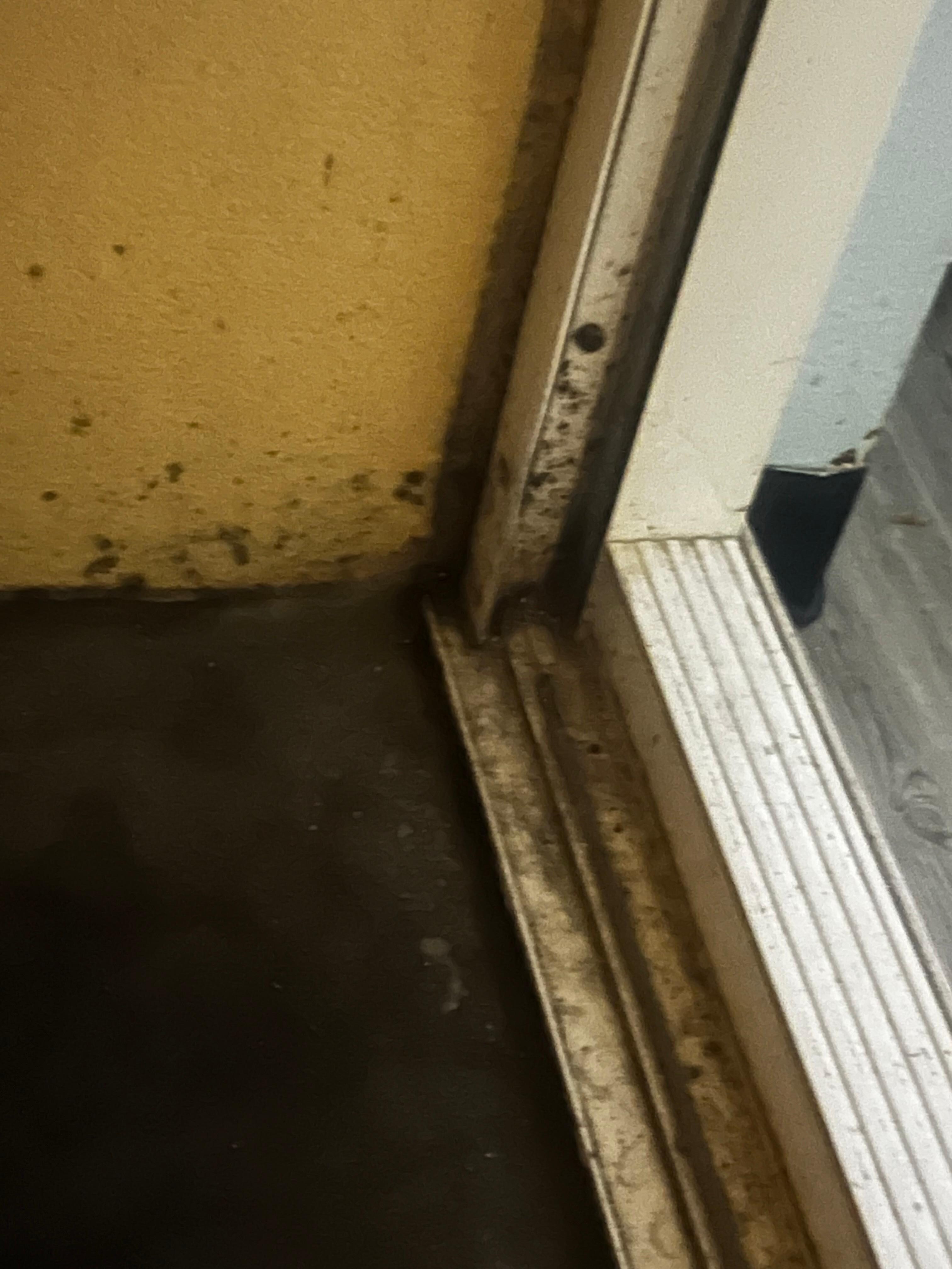 Look how dirty! 