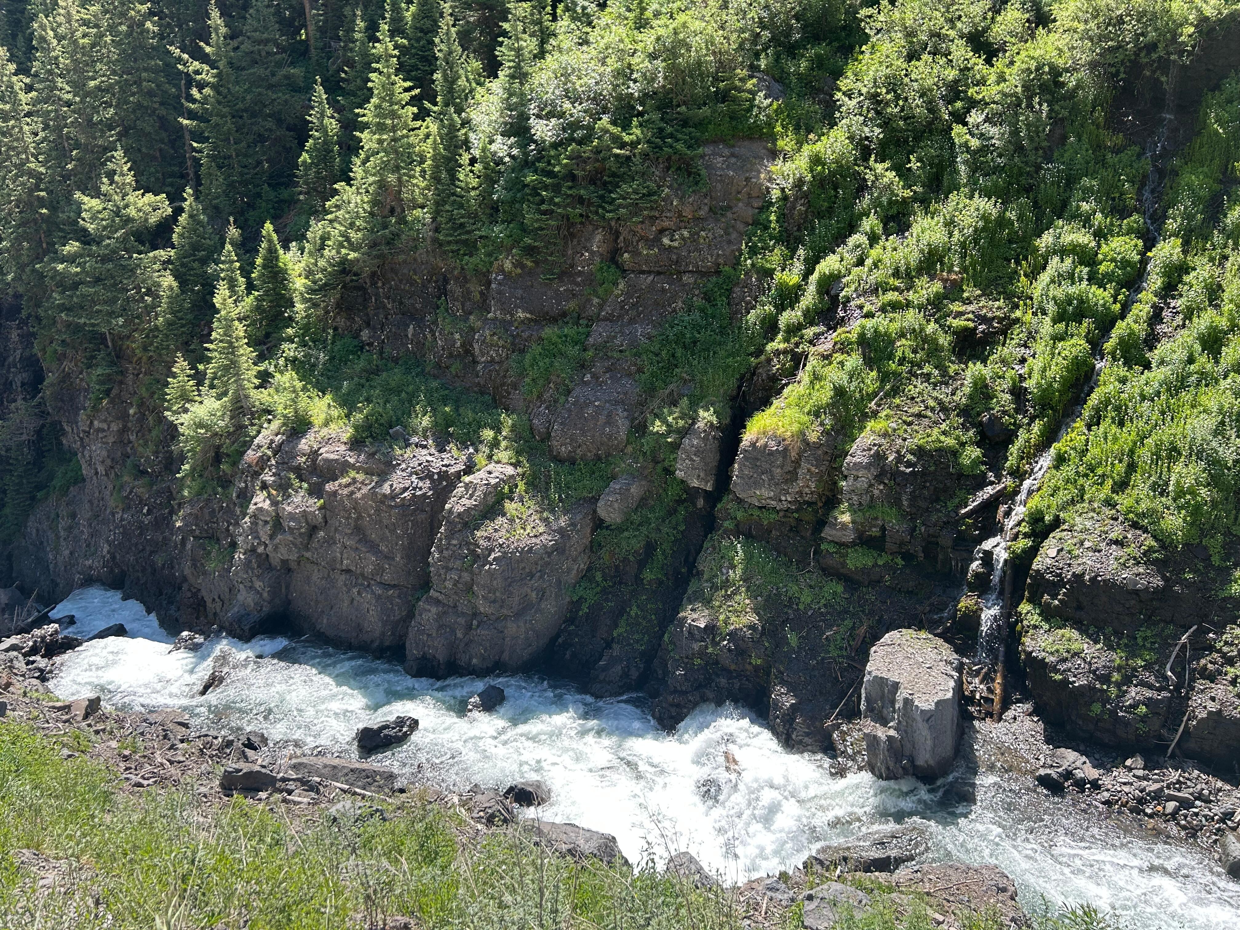 View from the deck