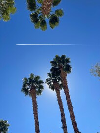 Sky view