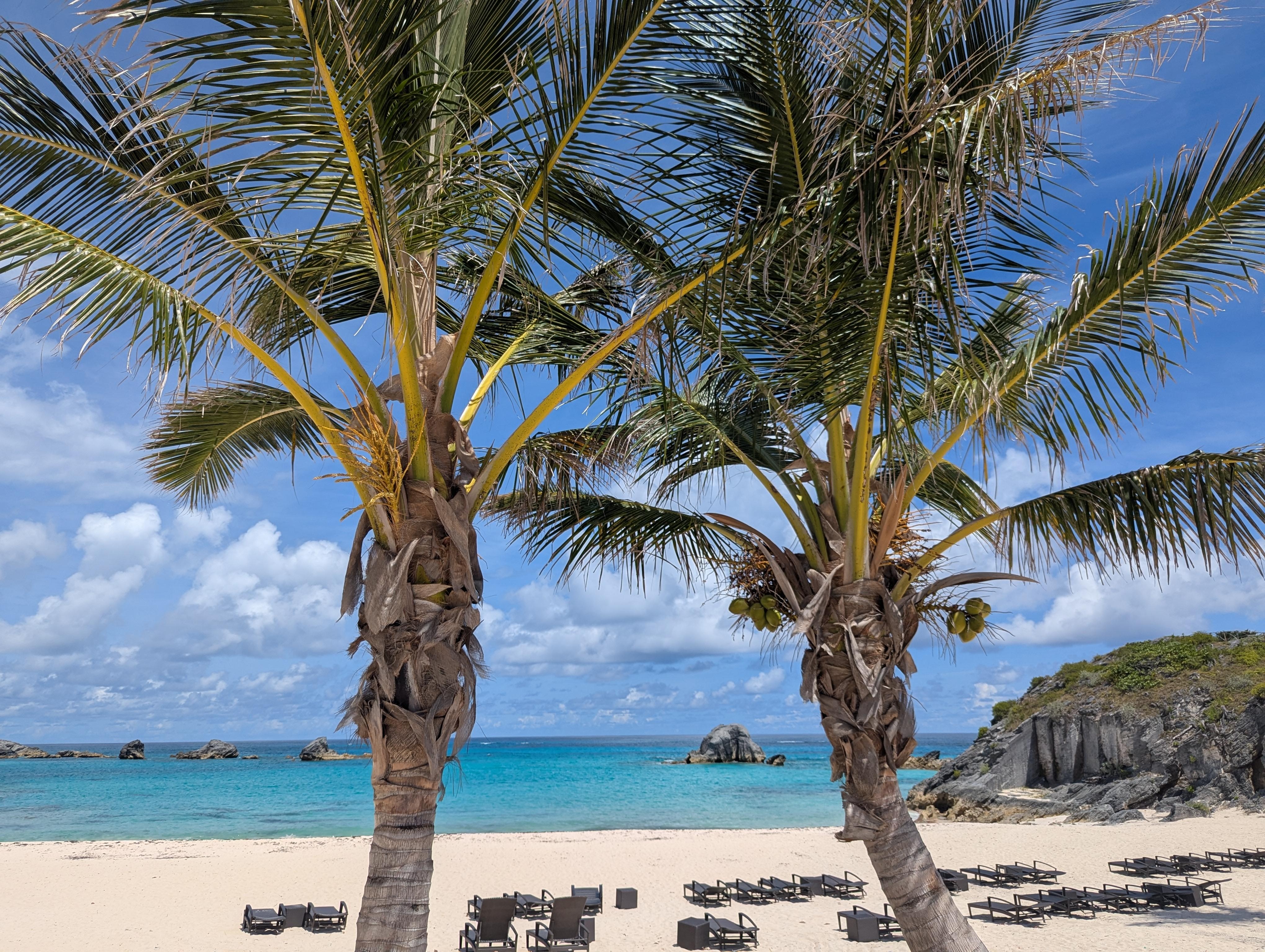 We spent many days enjoying the gated private beach practically to ourselves. 