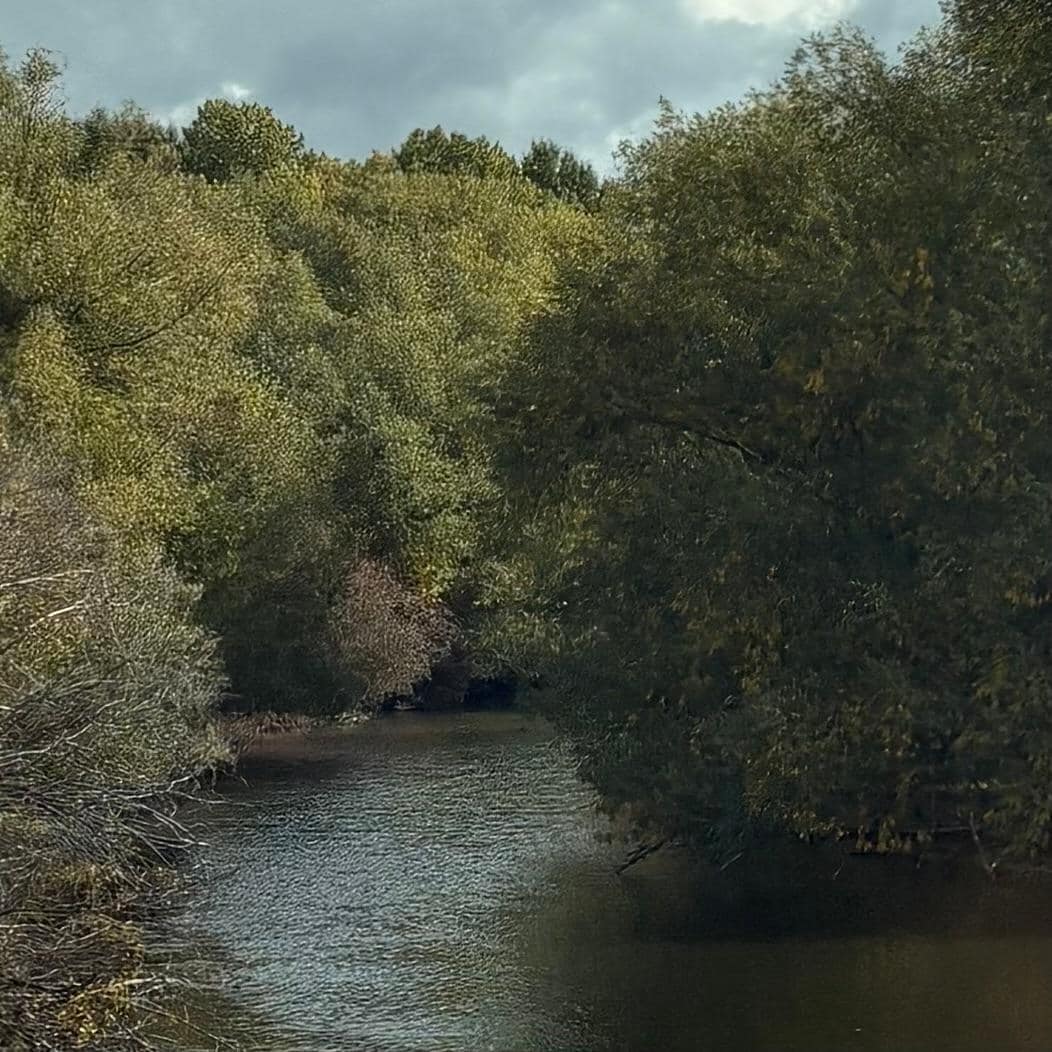 Nearby fishing was the highlight of the trip.