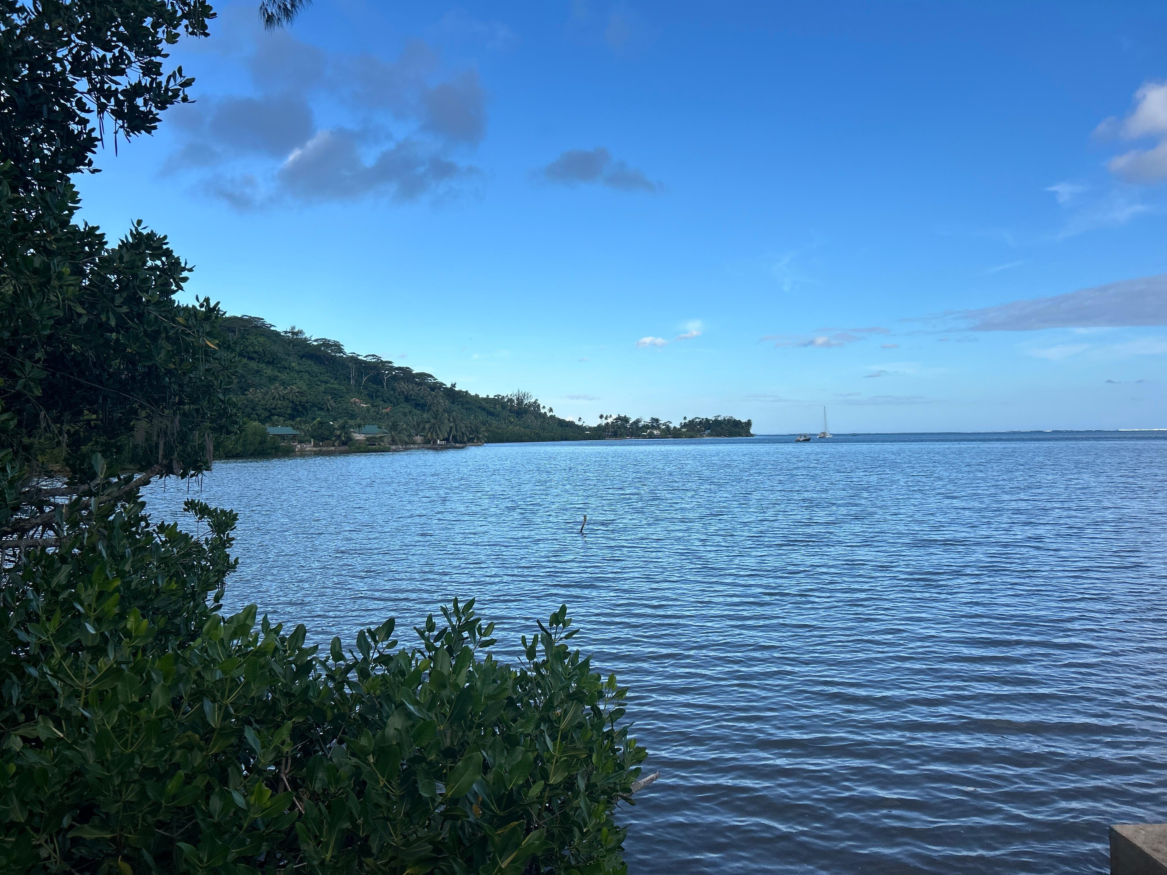 View from outside the bungalow