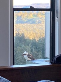 One of the locals