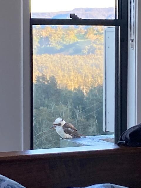 One of the locals