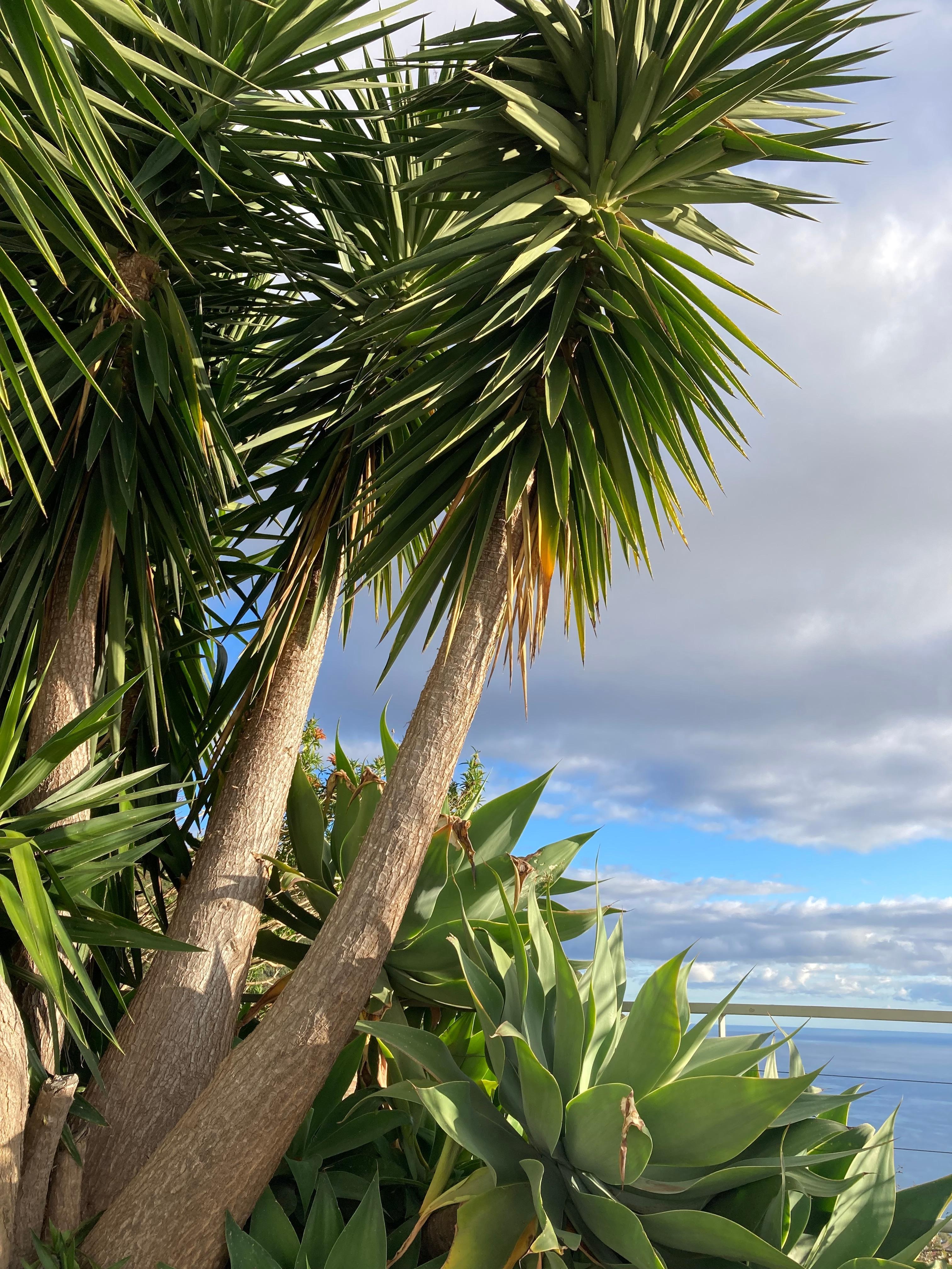 Uitzicht vanuit het tuin.