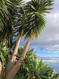 Uitzicht vanuit het tuin.