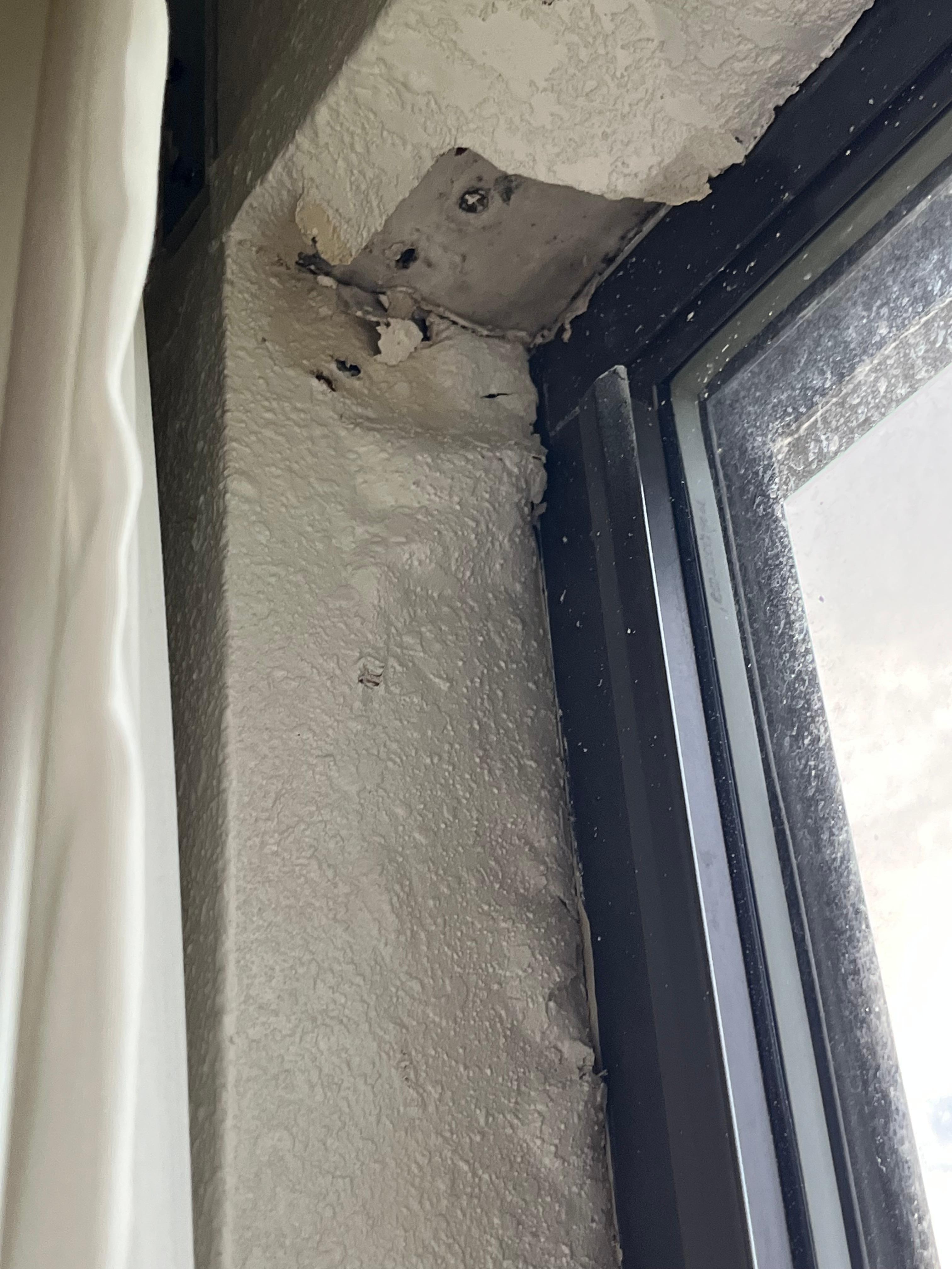 Paint peeling around windows with mold