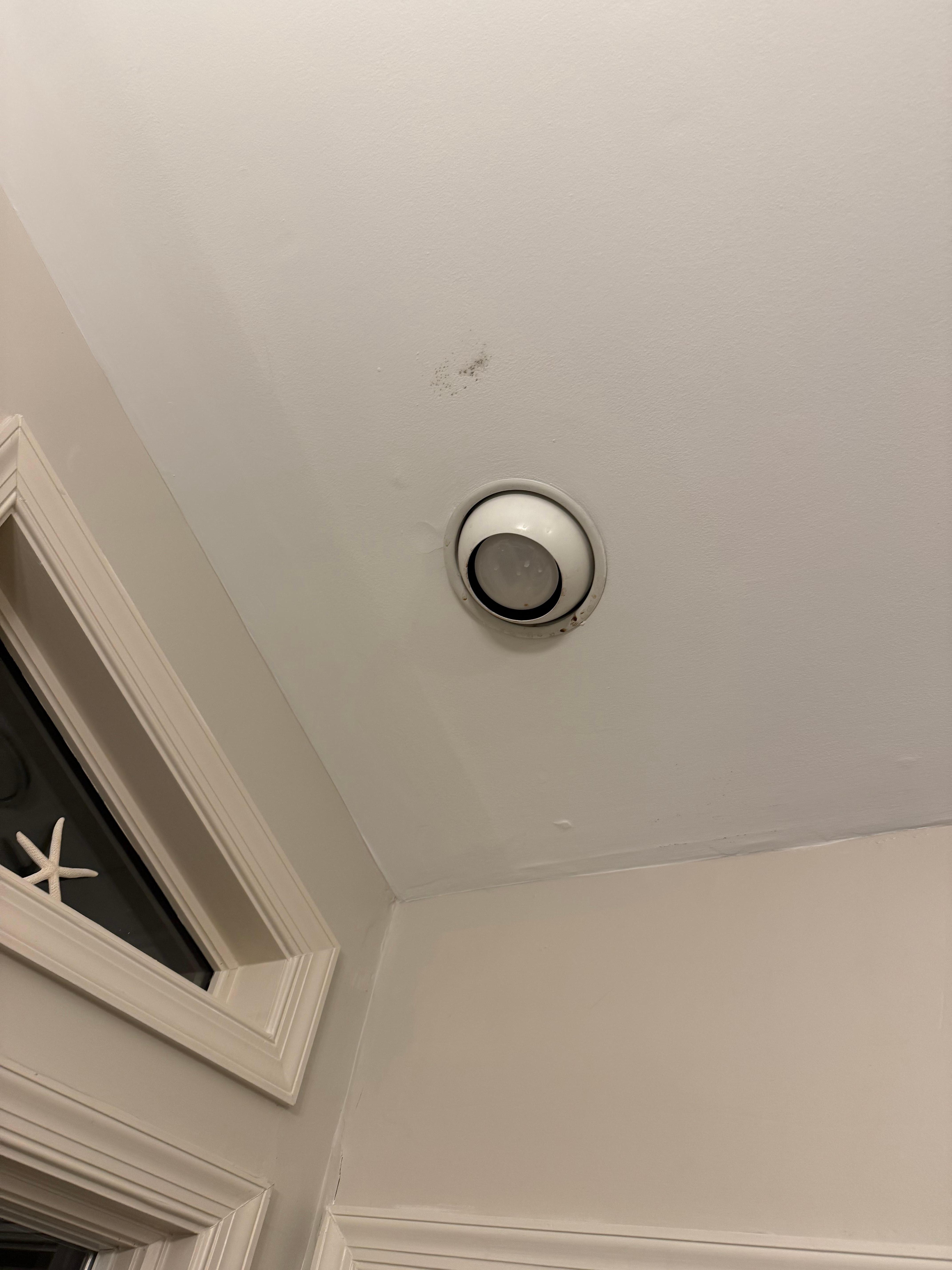 Mold from leaky roof 