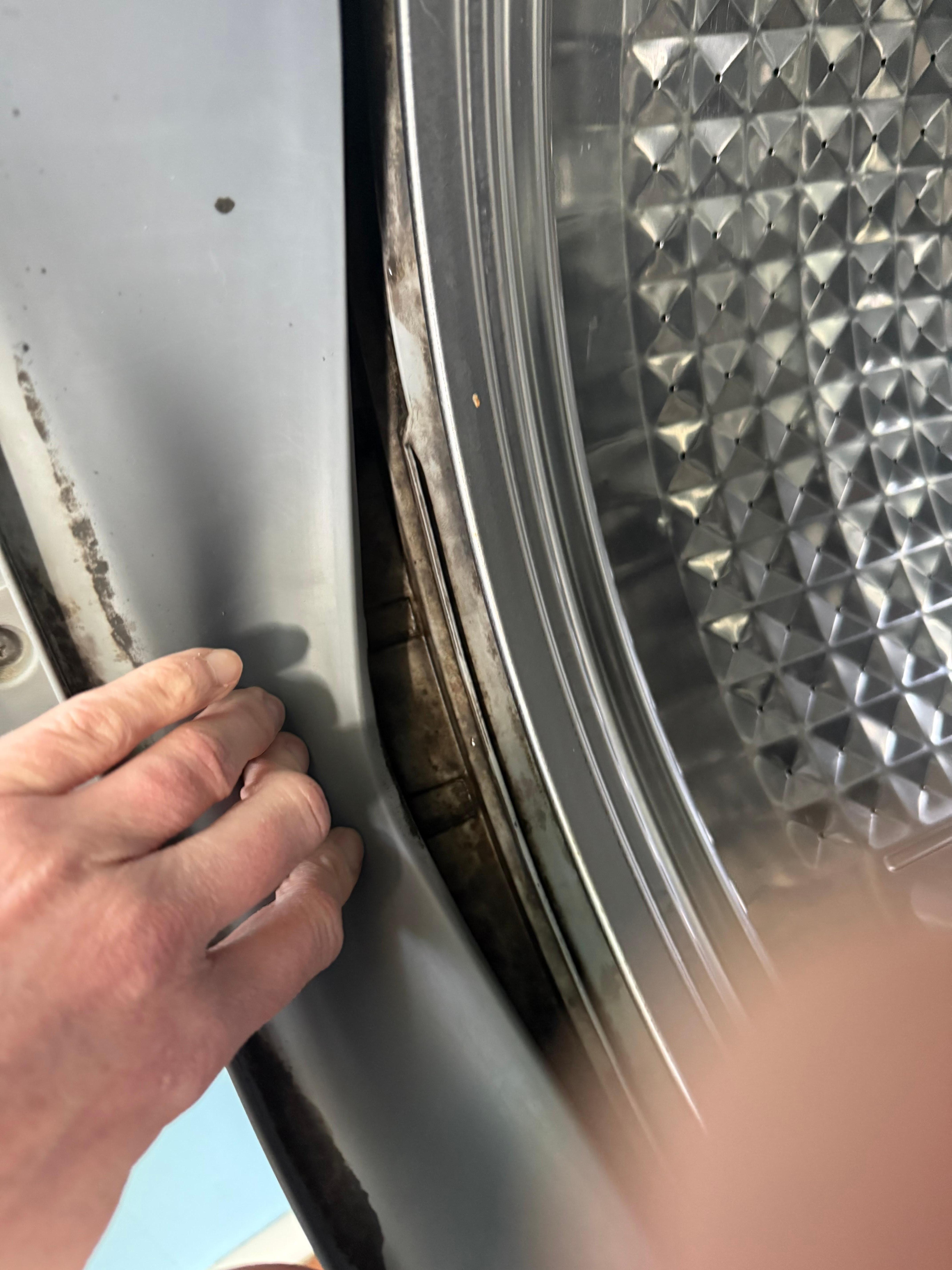 mold in washer