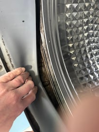 mold in washer