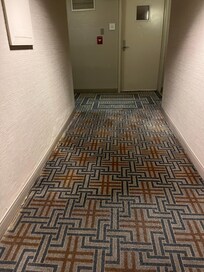 This is the 1-2 inches of standing water we had to hop across outside our door (on the right). The water leaked into our room so we had to wear shoes at all times since the carpet was wet. Not cool for $550.