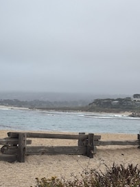 Enjoyed the coast