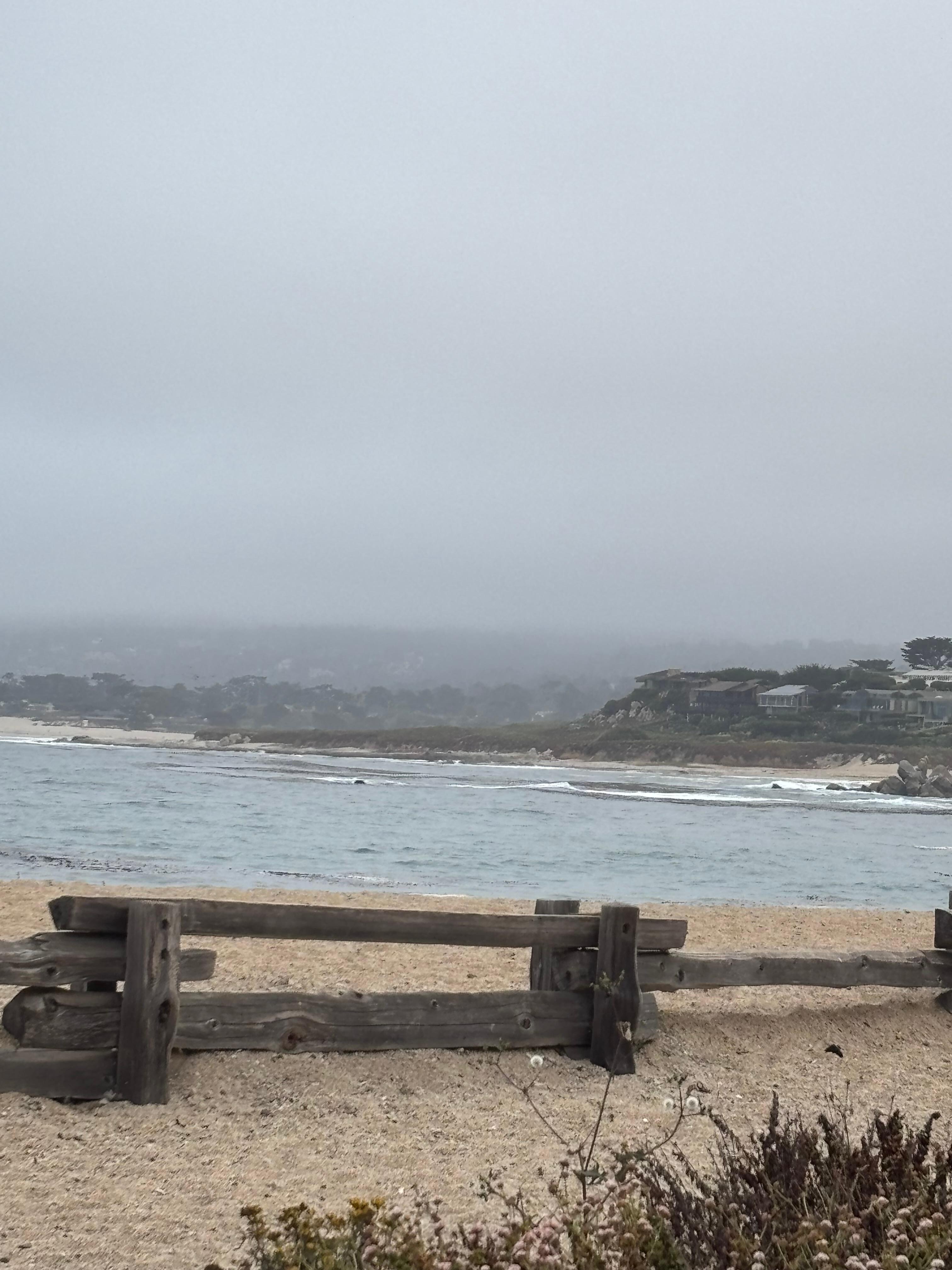 Enjoyed the coast