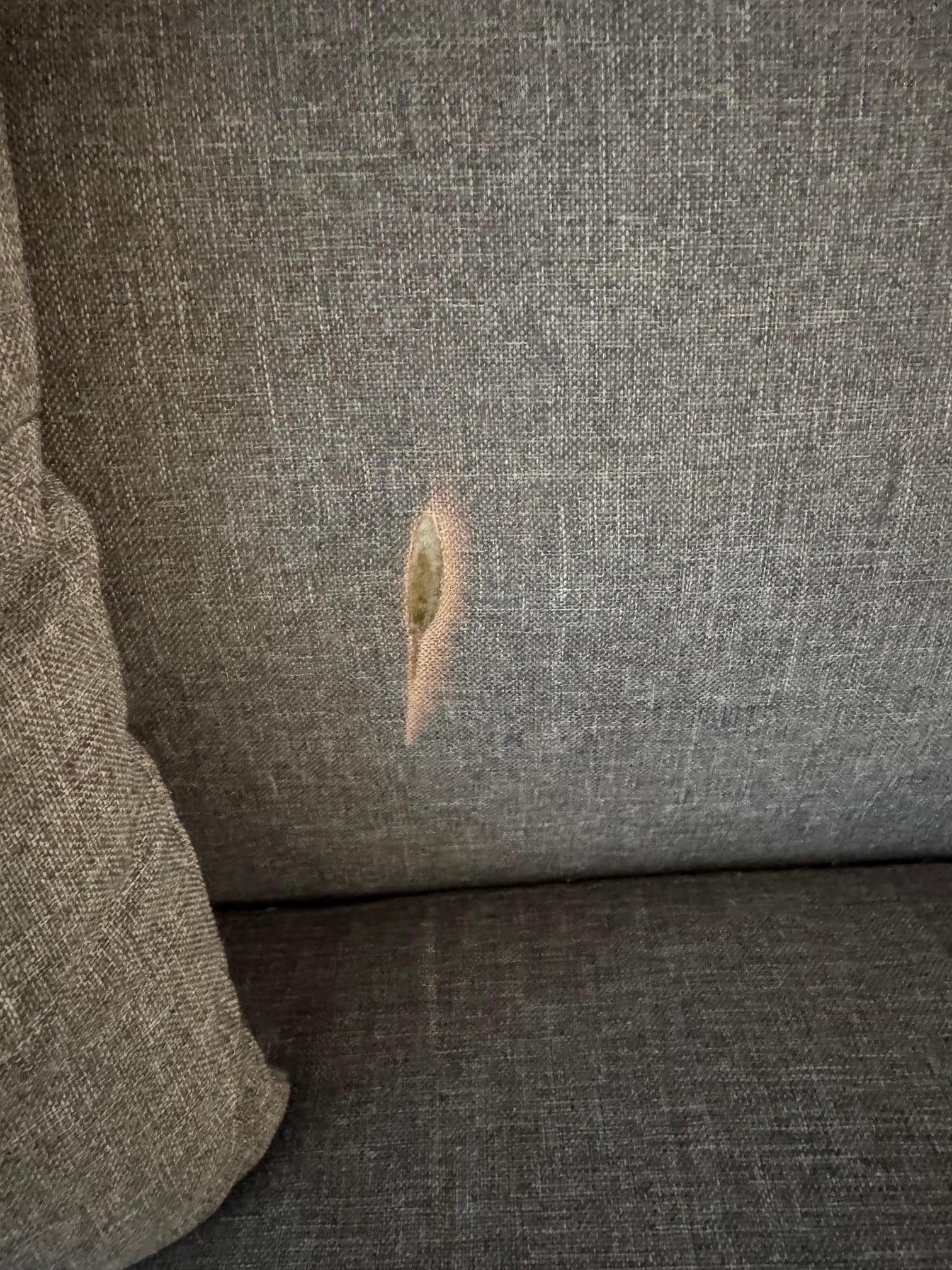 Burn on the sofa (covered by a pillow when we arrived)