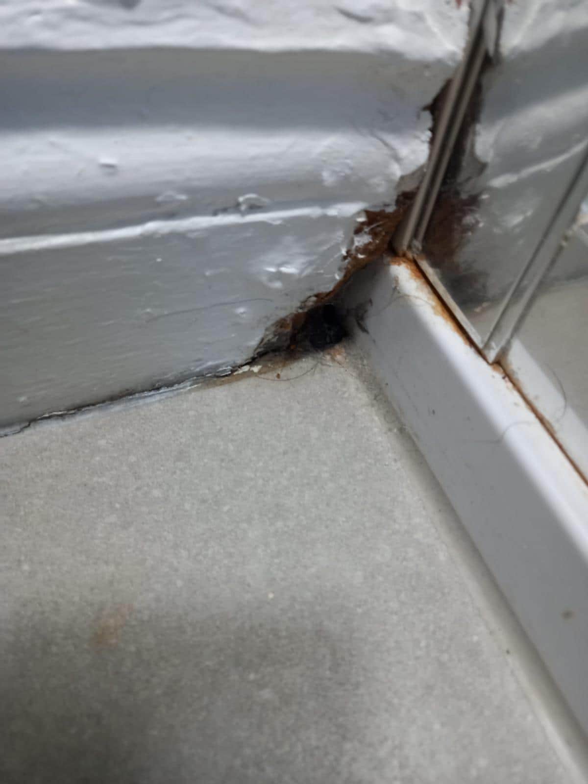 No need further description