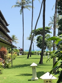 Absolutely beautiful gardens and beach front
What a great view to wake up every morning