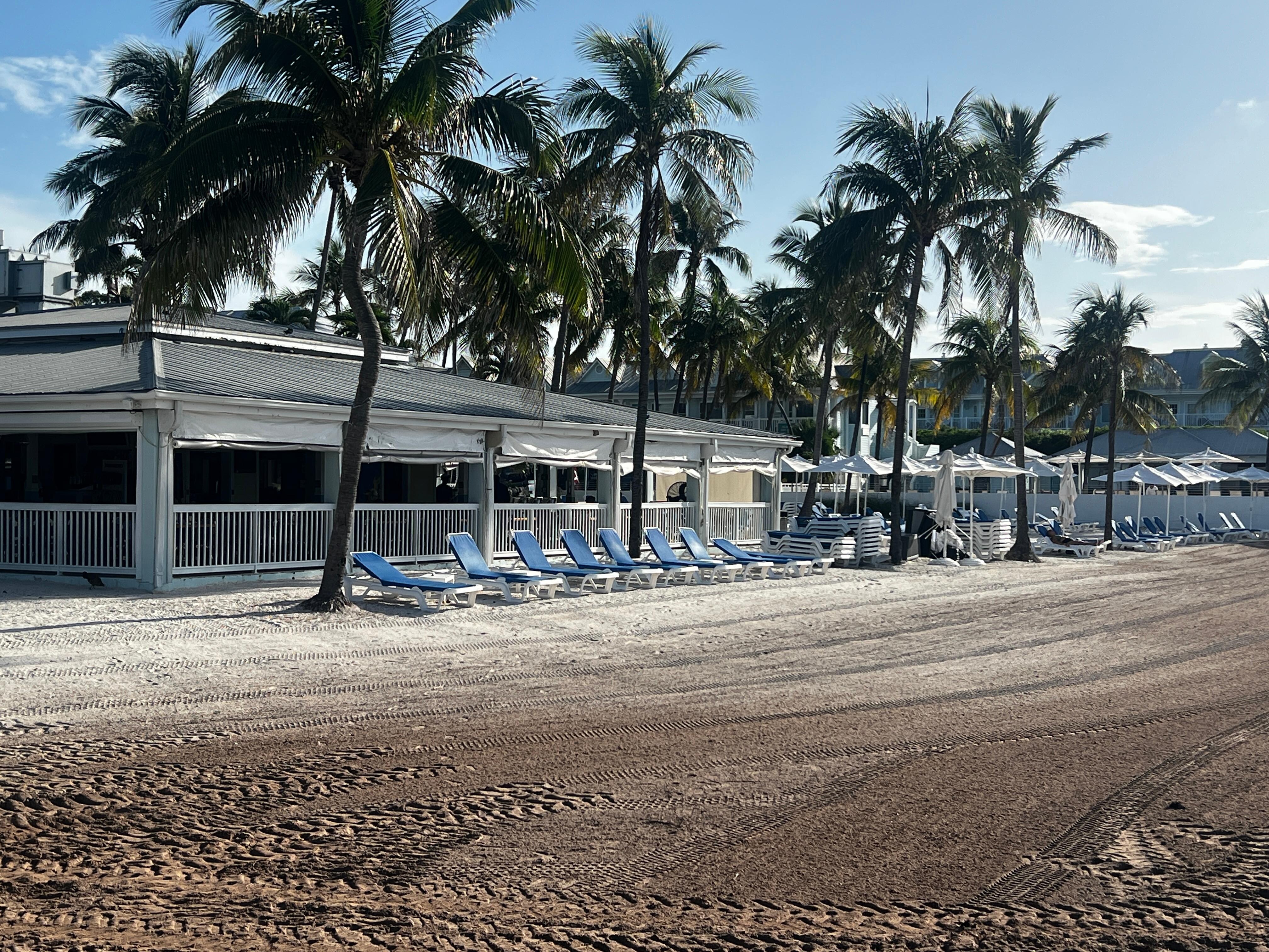 Beach in front of cafe