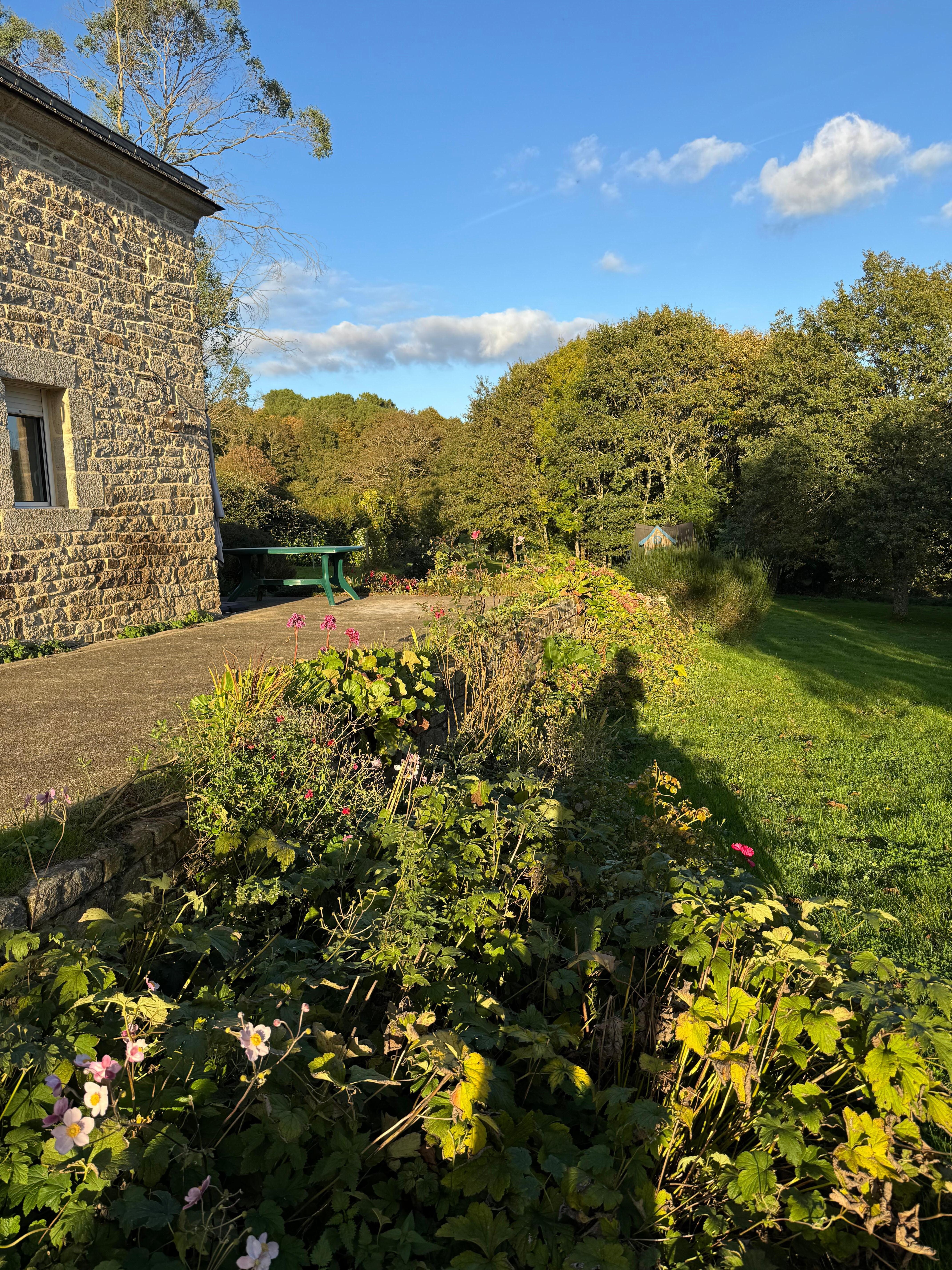 Beautiful yard and garden