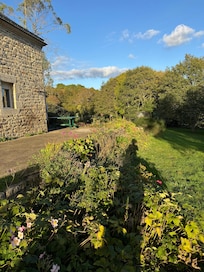 Beautiful yard and garden