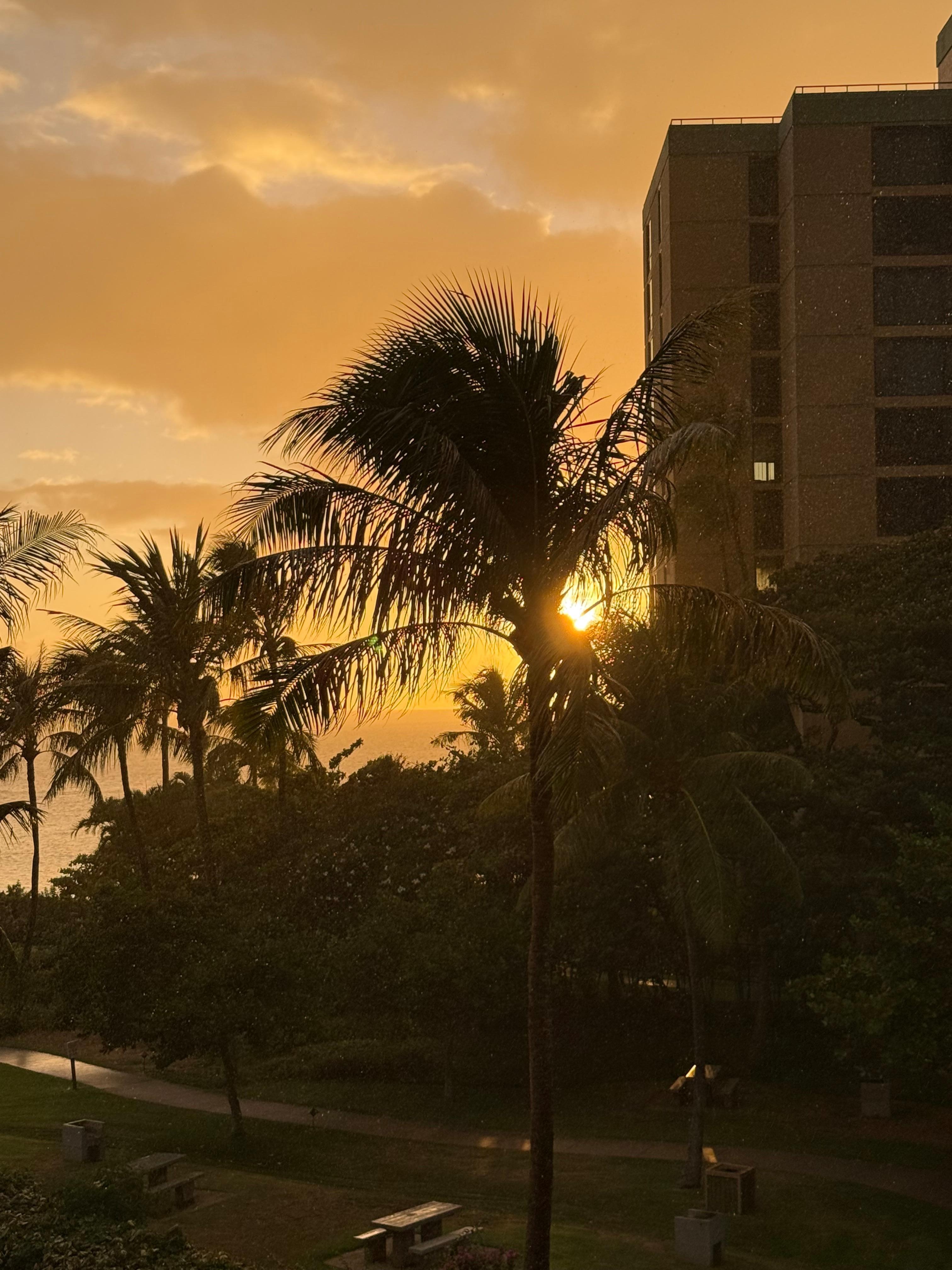 Sunset from the balcony. 