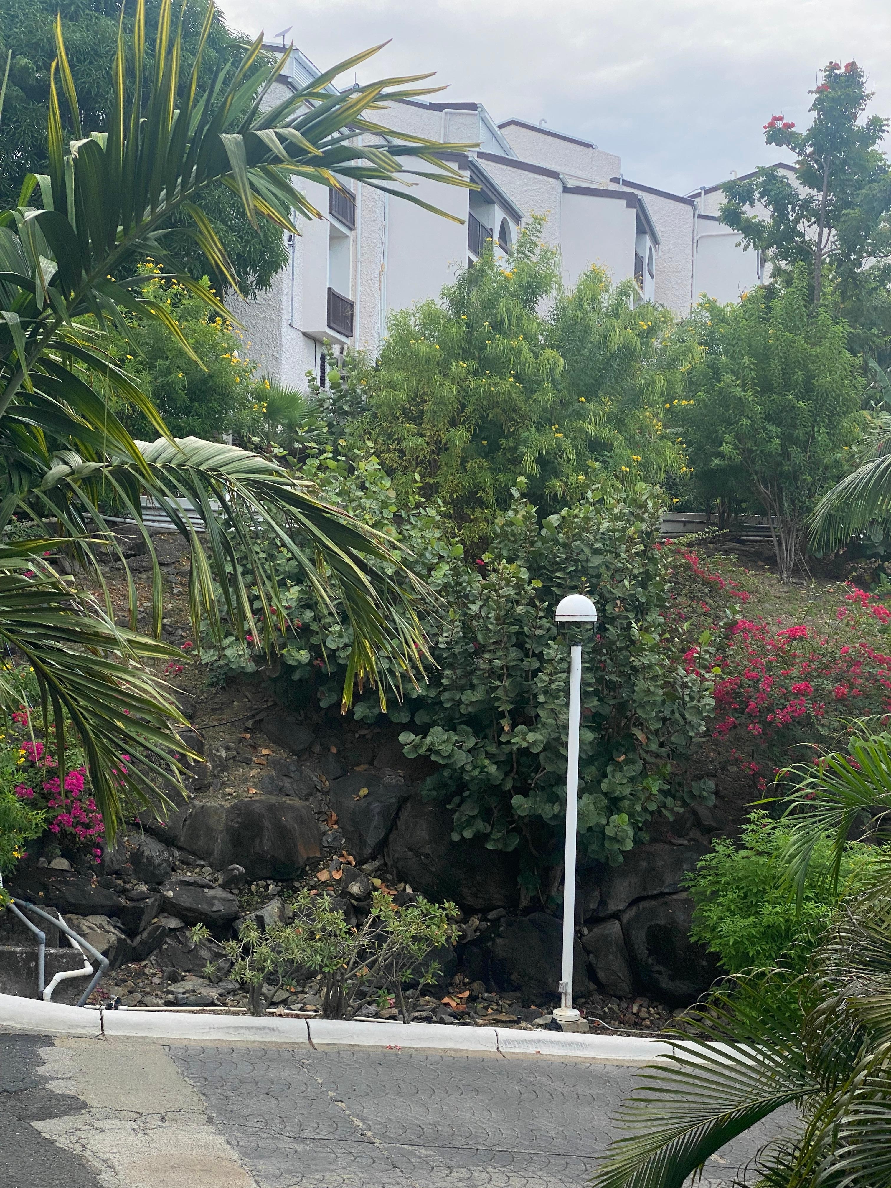 Grounds are well kept!