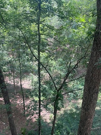 View from back deck