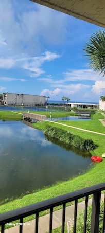 View of pond, pool, and ocean from the balcony