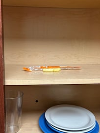 Trash and food in cabinets