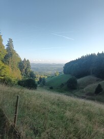Point de vue