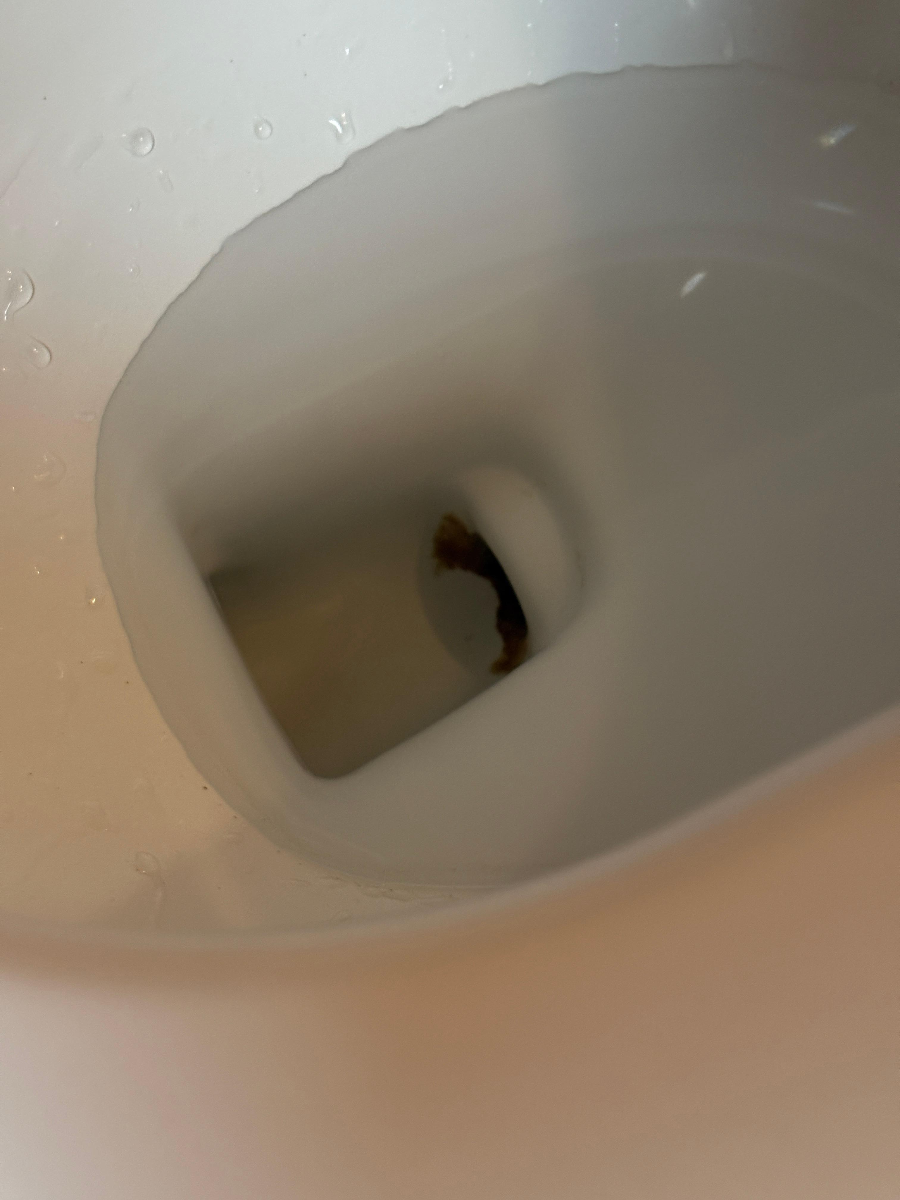 Dirty toilet