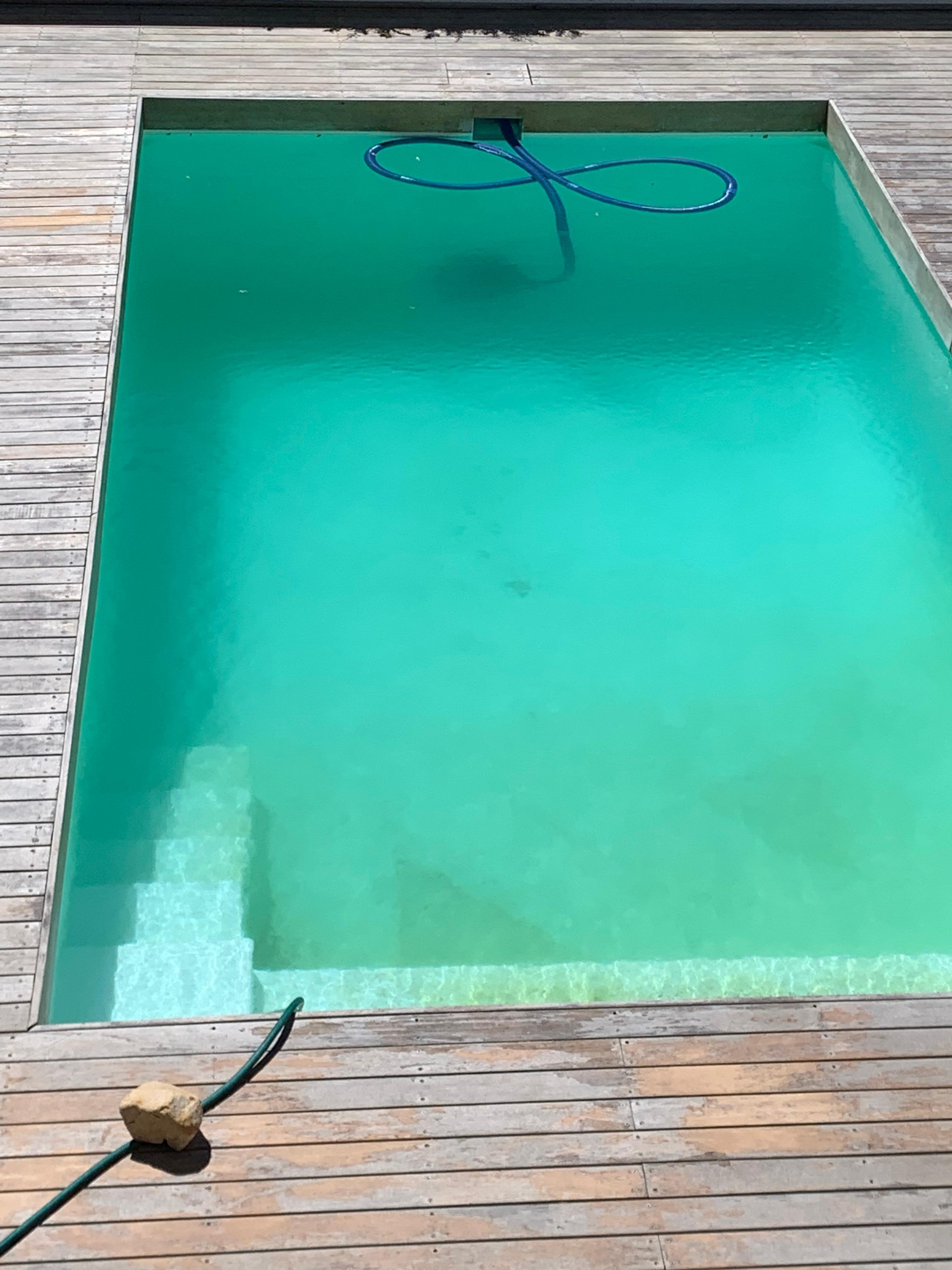Pool on arrival, compare to photo of pool in the listing👎