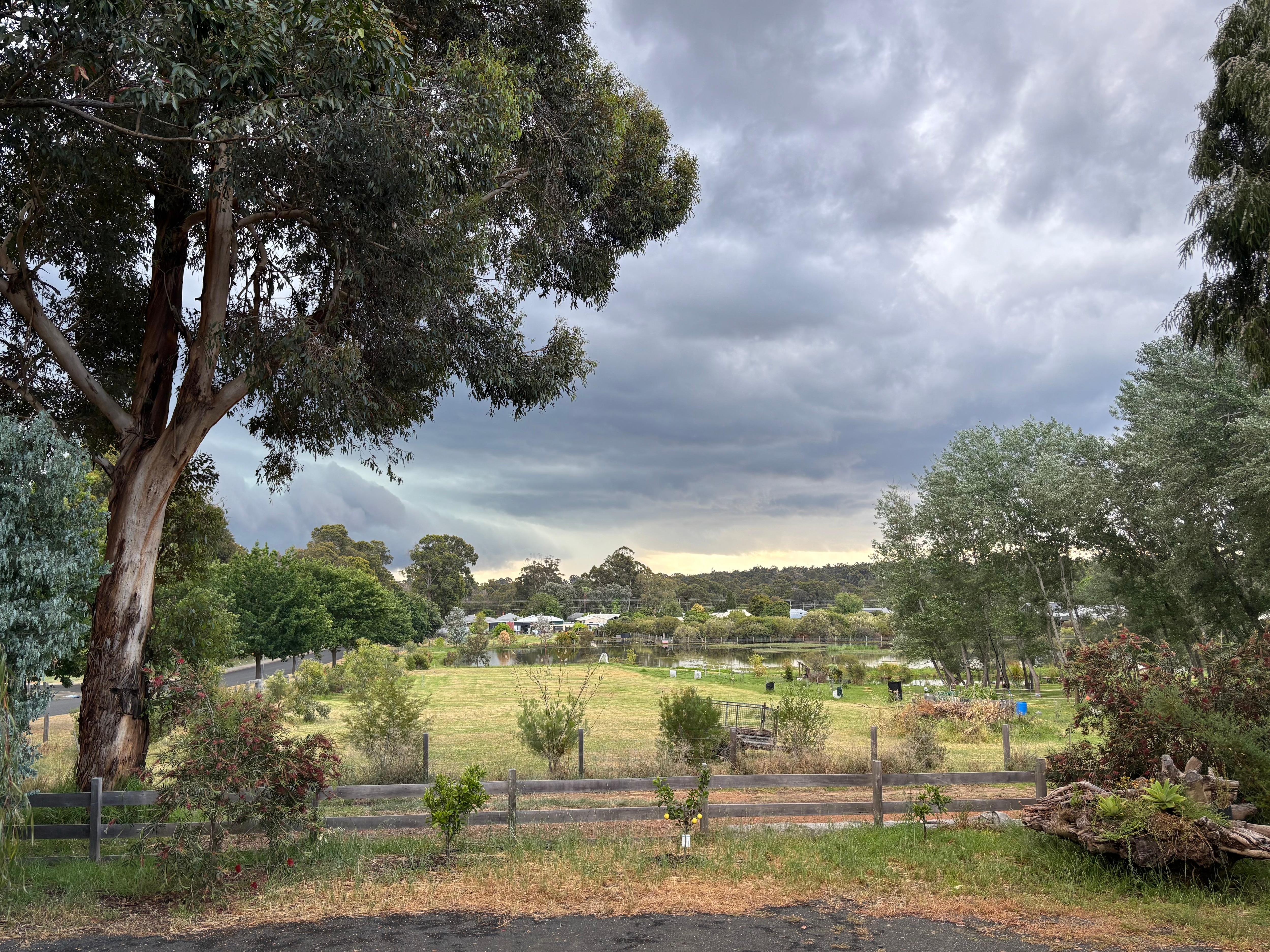 View from back verandah