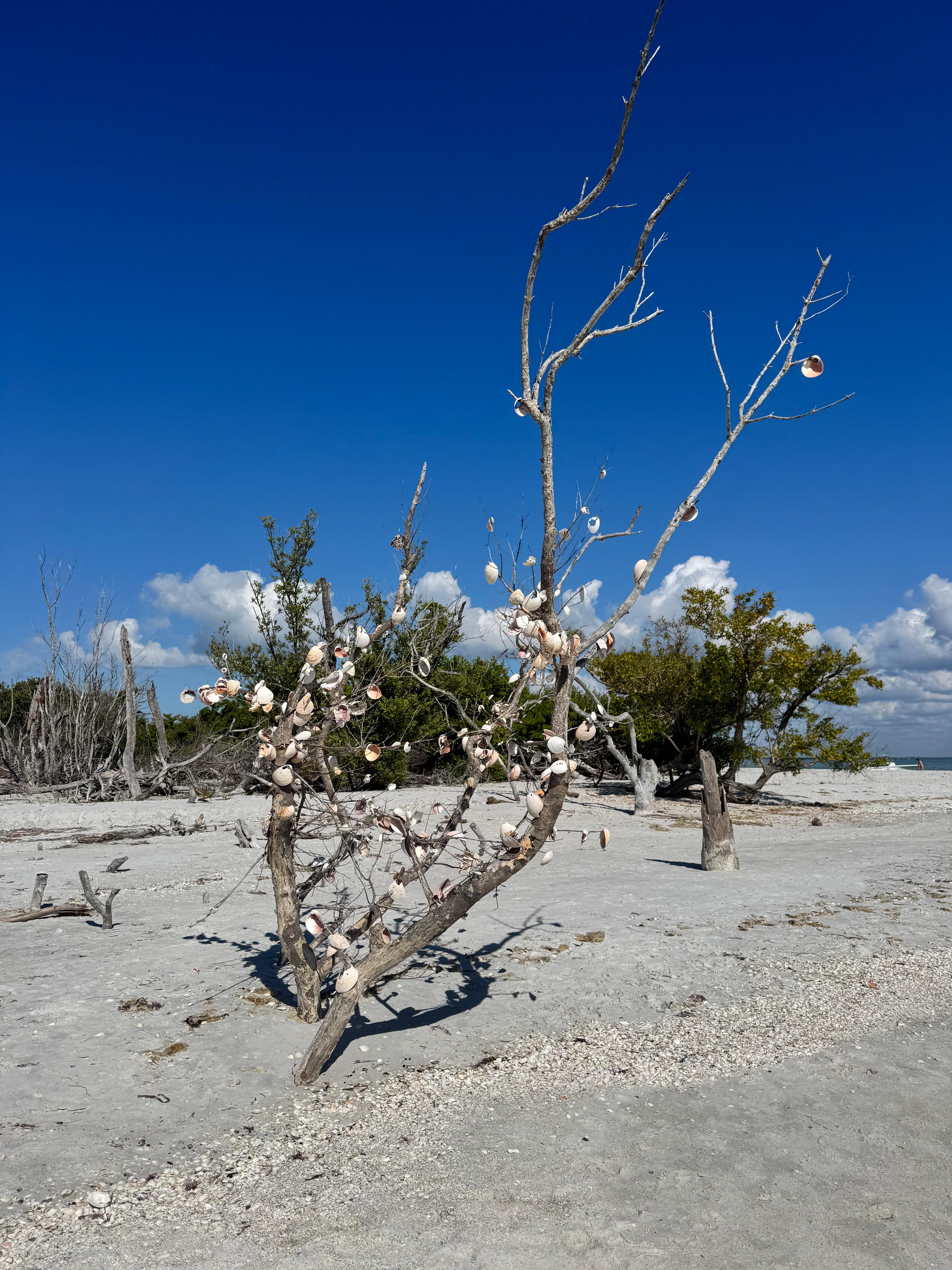 North Captiva Island