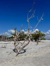 North Captiva Island