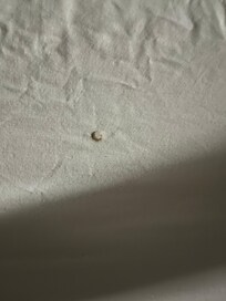 Cigarette burn in sheets