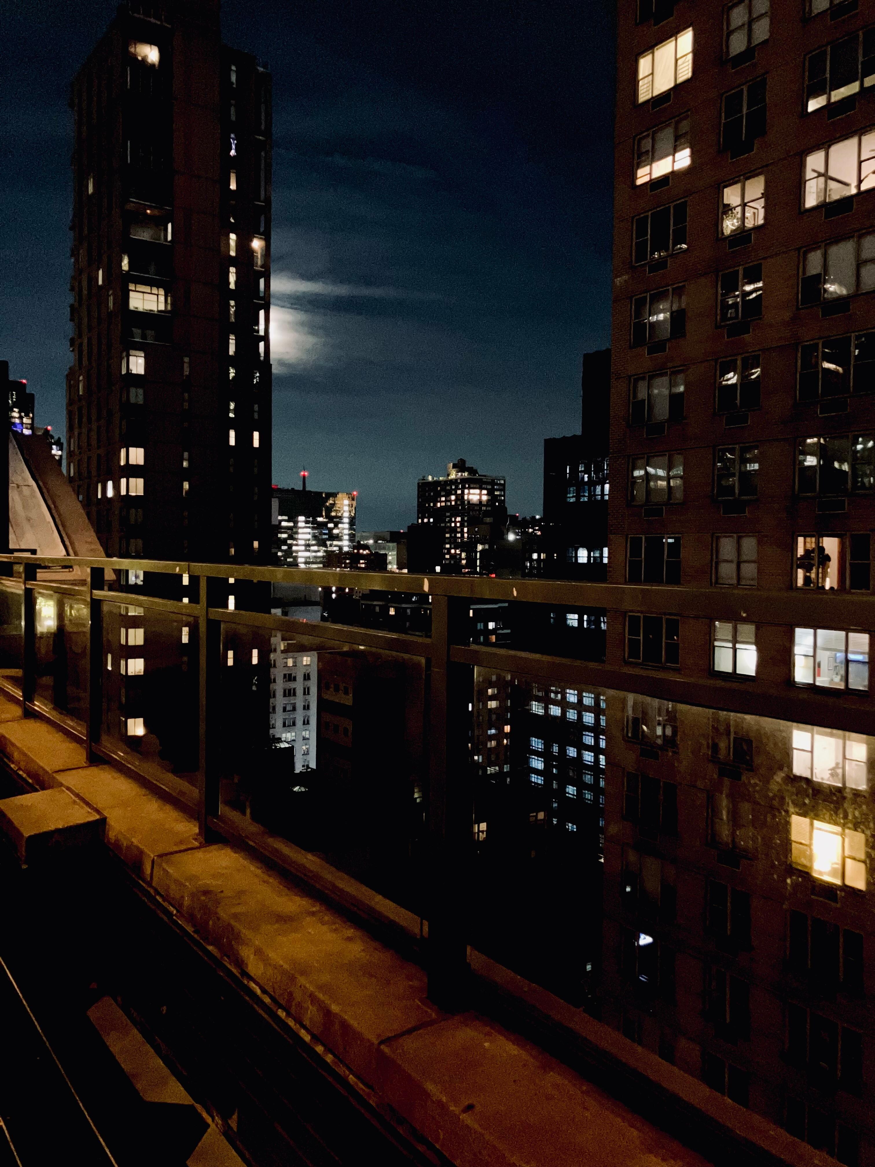 Artistic skyline view from Village Green