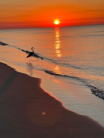 Walks on the beach during sunrise were my favorite.