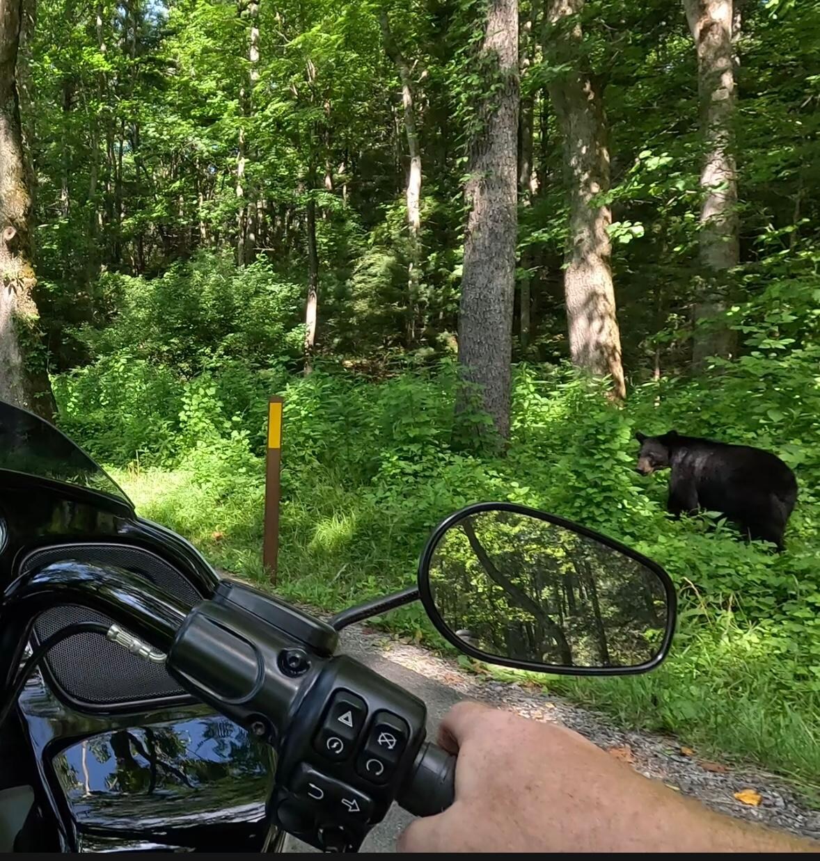 Cades Cove
