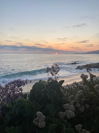 Laguna Beach was a 1 hour drive and SO worth it.