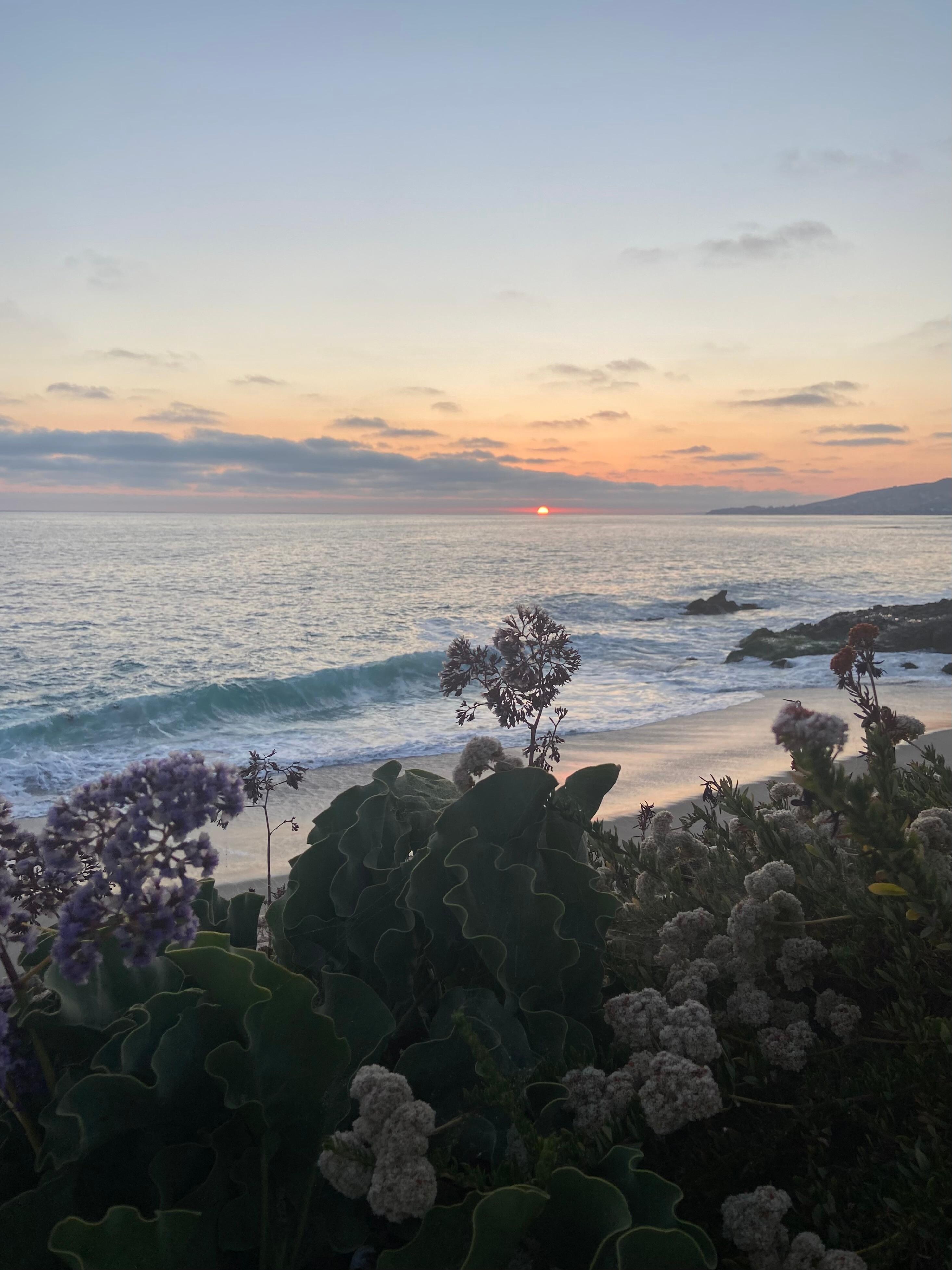 Laguna Beach was a 1 hour drive and SO worth it.