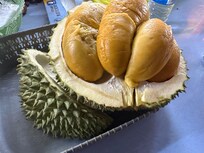 8 mins walk to night market