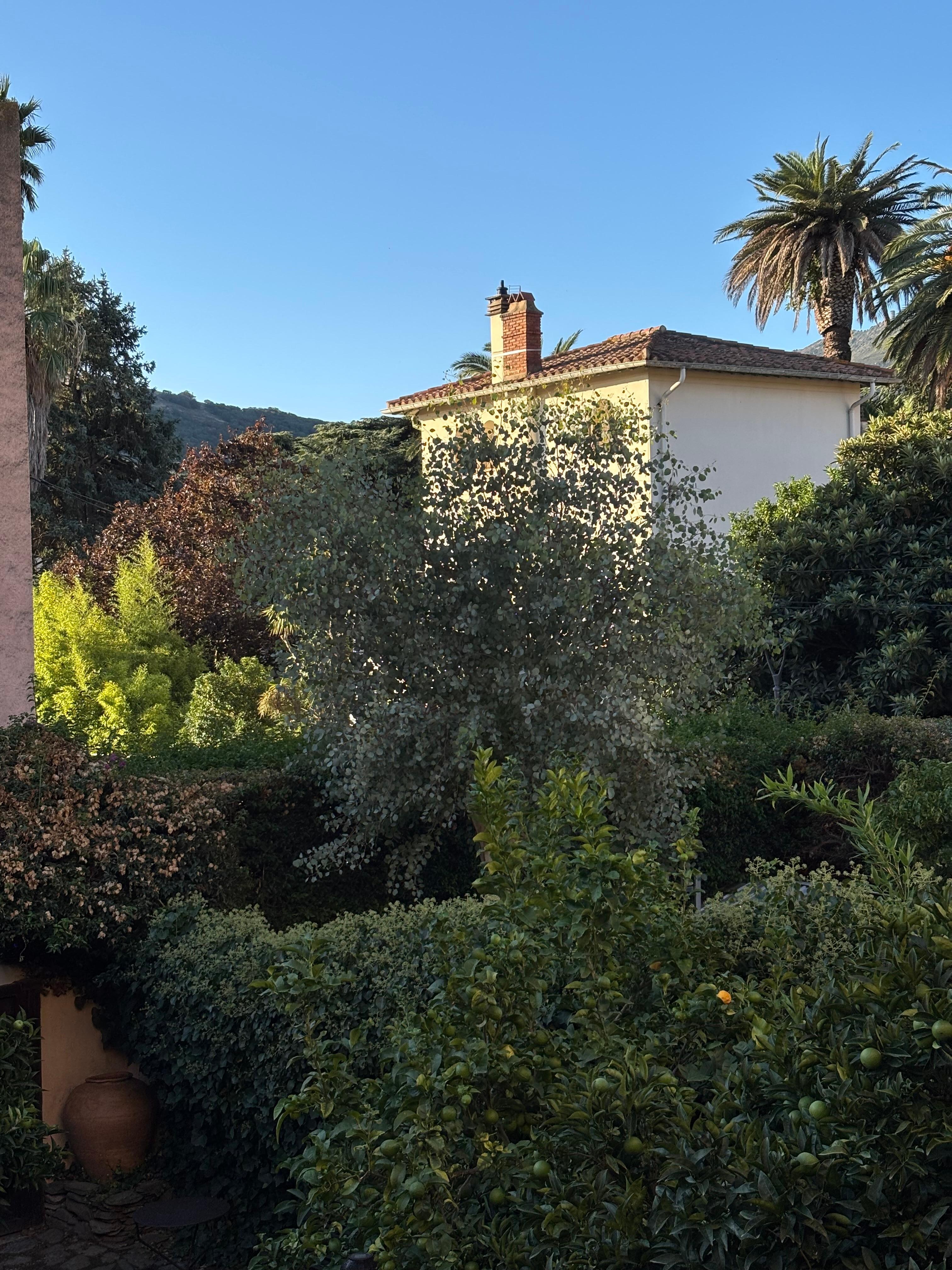 View from living room window 