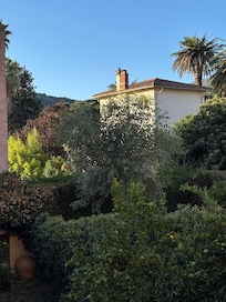 View from living room window