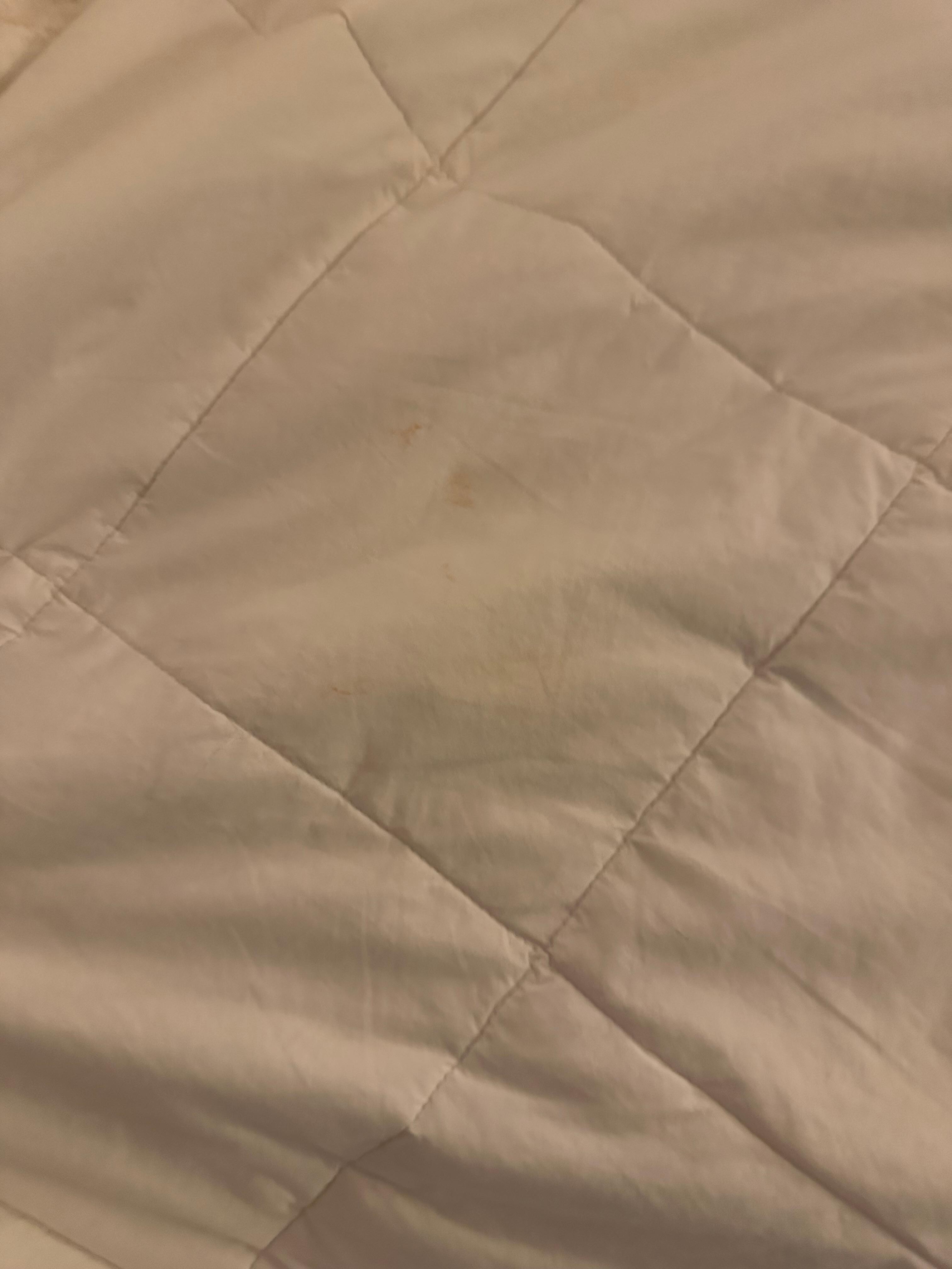Stained bedding 